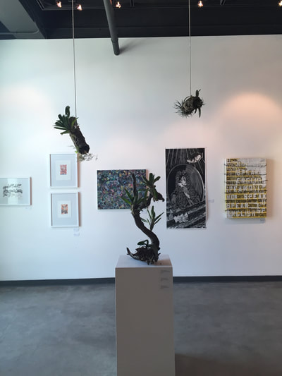 Photo of live plant sculpture standing on pedestal along with two live plant sculptures hanging from ceiling hovering over pedestal.